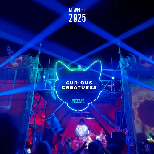 Cover of Live @ Curious Creatures // Nowhere 2025 by Piccaya