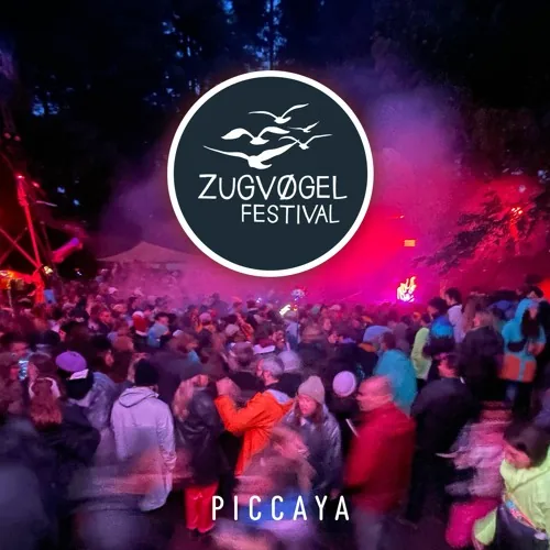 Cover of Live @ ZugVögel Festival (DE) by Piccaya